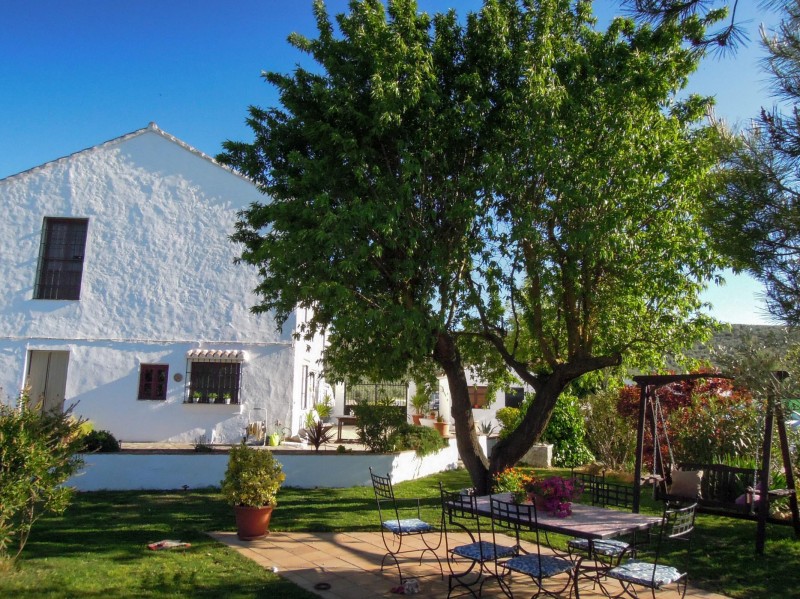 Self- catering accommodation in the Andalucian countryside just outside of Malaga, Spain